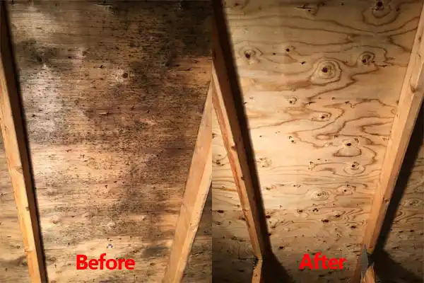 water damage restoration service Lake Winnebago